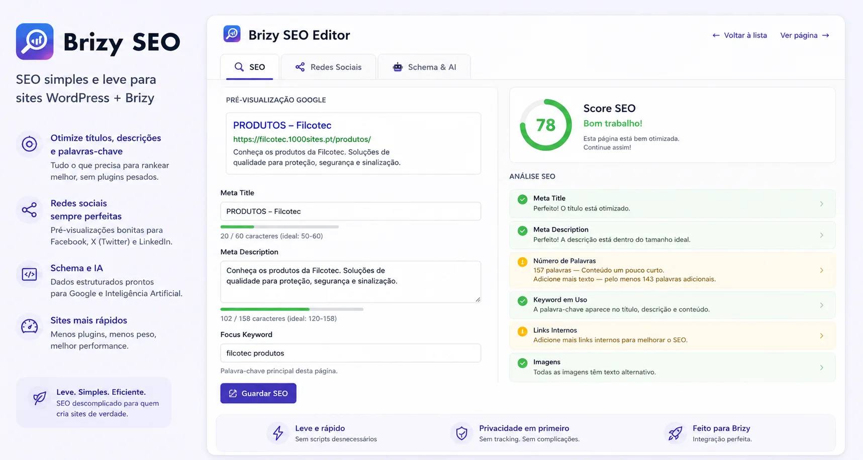 Plugin SEO Brizy WordPress leve