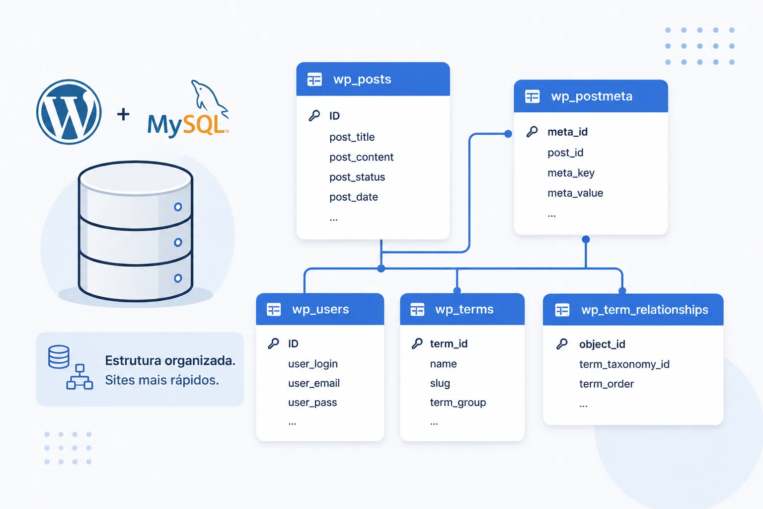 MySQL WordPress